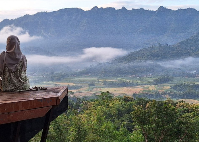 Menghabiskan Waktu di Alam Bisa Menjadi Cara Sederhana Menenangkan Pikiran