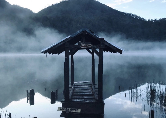 Pesona Danau Taman Hidup Argopuro, Surga Sunyi di Tengah Pegunungan