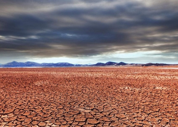BMKG Prediksi Puncak Musim Kemarau 2026 Terjadi Juli–September, Masyarakat Diminta Waspada Dampak El Nino