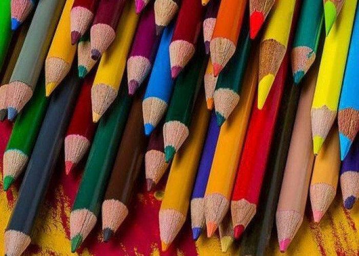 Deretan Pensil Warna Buatan Lokal, Kualitas Boleh Diadu