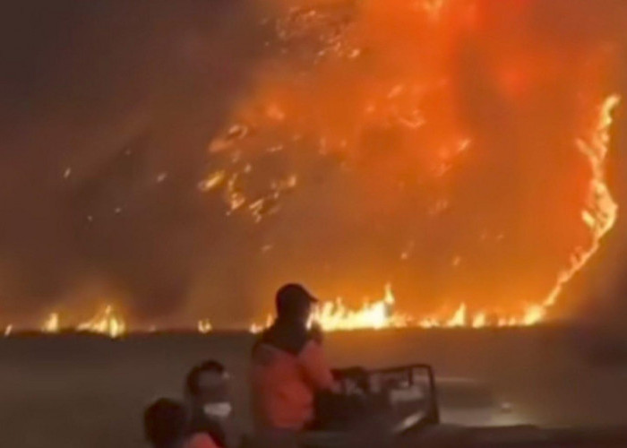 Kebakaran Taman Nasional Bromo Tengger Semeru Capai 196 Hektare, Belum Sepenuhnya Padam