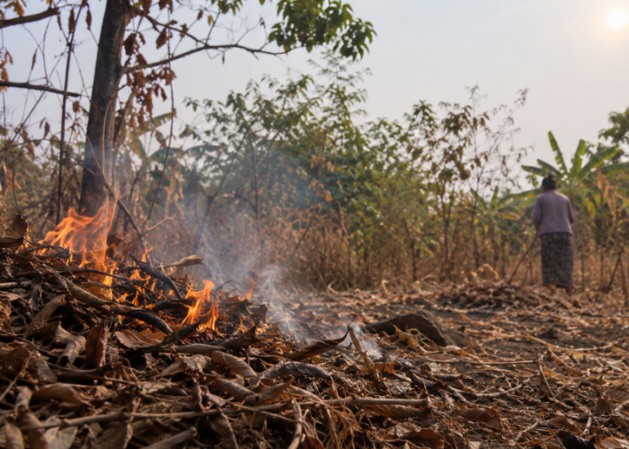 Cuaca Panas dan Daun Kering Jadi Ancaman, Ibu 57 Tahun Tewas Saat Bakar Sampah
