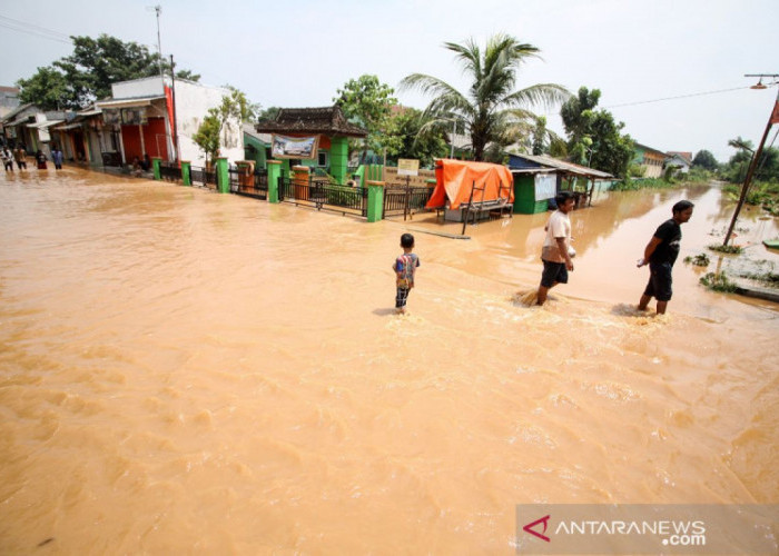 Banjir Pasuruan Meluas, Sembilan Desa Terendam Akibat Luapan Sungai Rejoso