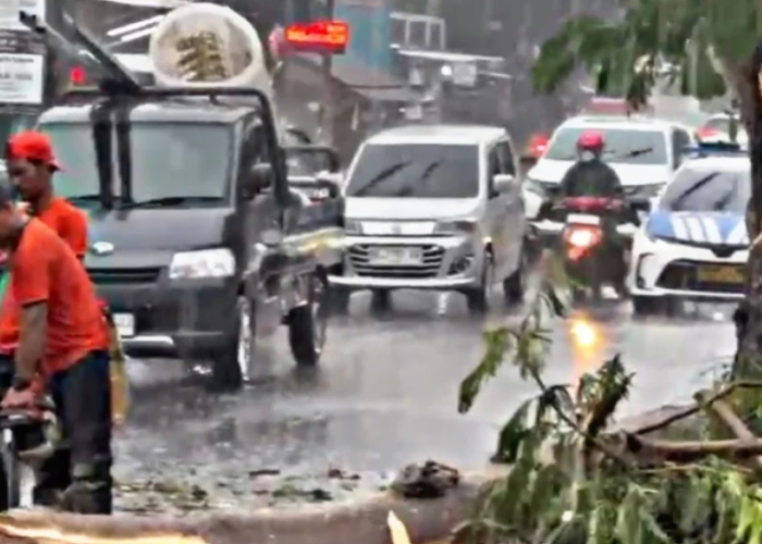 Lagi Cuaca Extreme Makan Korban, Pengendara Motor Wafat Tertimpa Pohon