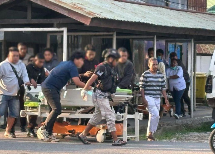KKB Tembak Mati ASN di Jayawijaya, Setelah Penyuluhan di Bidang Peternakan 