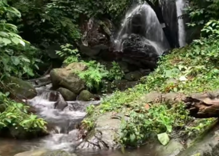 Curug Tujuh Margajaya: Surga Tersembunyi di Tengah Hutan Lampung Tengah
