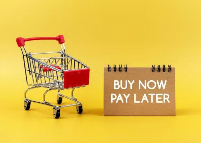 PayLater Makin Populer, Solusi atau Jebakan?