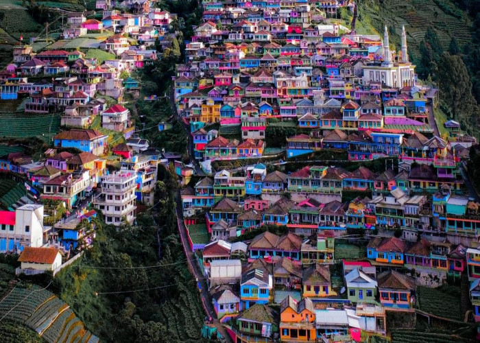 Pesona Nepal Van Java, Desa di Lereng Gunung Sumbing yang Memikat Wisatawan