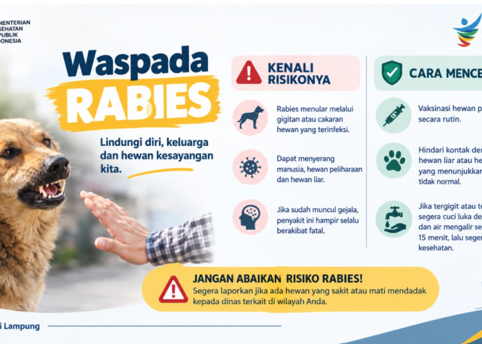 Sayang Hewan, Kenali Risiko Rabies: Edukasi Pencegahan Menjangkau Siswa di Lampung