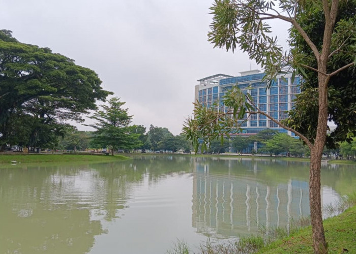 Wah! Ini dia 6 Kegiatan Yang Biasa Dilakukan Oleh Orang-Orang Di Embung UIN Raden Intan Lampung