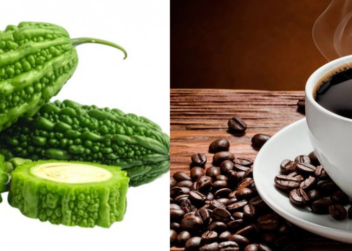 Kenapa Banyak Orang Lebih Toleran terhadap Rasa Pahit Kopi daripada Pare? Ini Penjelasan Ilmiahnya