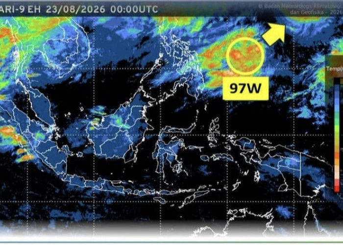 Siklon Tropis ATSANI Picu Gelombang hingga 2,5 Meter, BMKG Minta Warga Pesisir Waspada
