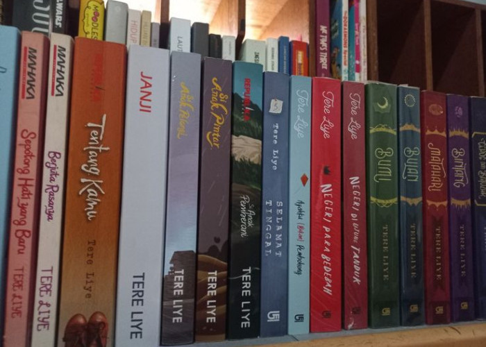 Rekomendasi Novel Tere Liye: Dari Romantis hingga Filosofis