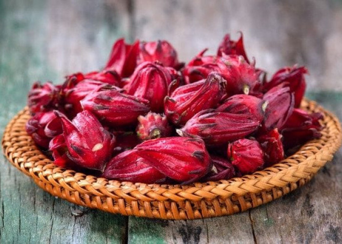  Bukan Sekadar Minuman Segar, Ini Manfaat Luar Biasa Bunga Rosella dan Cara Aman Mengonsumsinya