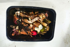 Langkah Mudah Mengolah Sisa Dapur Jadi Pupuk Kompos yang Bikin Tanaman Subur