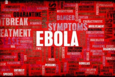 WHO Soroti Wabah Ebola di Kongo yang Terus Meluas, Fasilitas Kesehatan Mulai Kewalahan