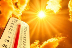 Prancis Terbakar: Gelombang Panas Luar Biasa Lumpuhkan Aktivitas Kota