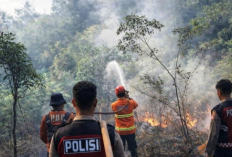 Karhutla Kepung Penajam Paser Utara, BPBD Catat 17 Kejadian Selama Musim Kemarau