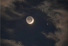 Malam Ini, Bulan Sabit dan Venus Tampil Berdekatan di Langit Barat, Bisa Dilihat Tanpa Alat Bantu