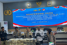 Di Balik Tumpukan Jengkol, Sabu Ratusan Kilogram Terbongkar di Pelabuhan Bakauheni