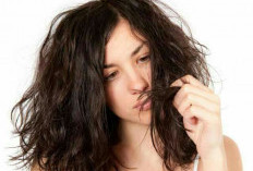 Cara Merawat Rambut Berminyak agar Tetap Sehat, Segar, dan Tidak Lepek