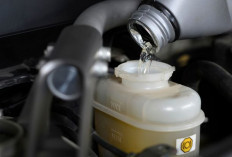 Sering Diabaikan, Rem Tiba-Tiba Blong! Bisa Jadi Ini Penyebabnya