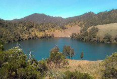 Jalur Pendakian Ditutup, 170 Pendaki Semeru Dievakuasi dari Ranu Kumbolo