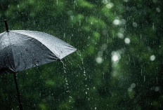 Musim Hujan Tiba, Ini Tips Agar Tetap Produktif Di Musim Hujan