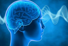 Benarkah Orang Ber-IQ Tinggi Lebih Nyaman Menghabiskan Waktu Sendiri? Simak Fakta Penelitiannya