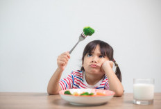Anak Susah Makan? Kenali Cara Mengatasi Picky Eater Tanpa Drama di Rumah