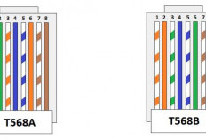 Memahami Kabel LAN, RJ45, serta T568A dan T568B: Dasar Jaringan yang Perlu Diketahui Secara Sederhana