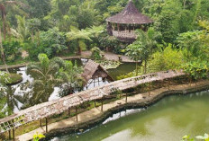 Potensi Wisata Daerah Terus Tumbuh di Era Digital