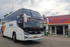 Mulai Hari Ini! DAMRI Kalianda-Jakarta Kembali Beroperasi, Segini Tarif dan Jadwalnya
