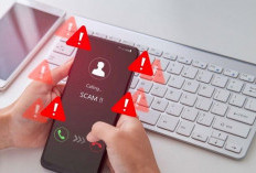 Satgas PASTI Hentikan Lima Entitas Ilegal, Modus Tebak Gambar hingga Tonton Drama Jadi Sorotan