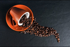 Bukan Cuma di Pagi Hari, Ini Waktu Terbaik Minum Kopi untuk Hasil Maksimal!
