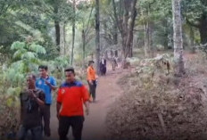 Dua Pendaki Dievakuasi dari Gunung Gamalama Usai Kebakaran