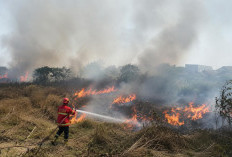 Dua Lahan Terbakar di Telukbetung Timur, Api Sempat Mendekati Kampung Selirit