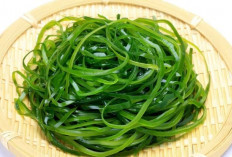 Tidak Hanya untuk Sushi, Rumput Laut Punya Banyak Manfaat
