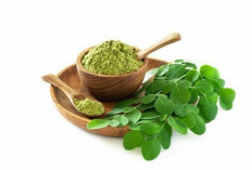 Sering Dianggap Sayuran Biasa, Daun Kelor Ternyata Punya Kandungan Nutrisi Ini
