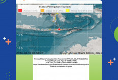 Gempa M 7,7 Mengguncang NTT, BMKG Peringati Dini Tsunami ke Empat Provinsi