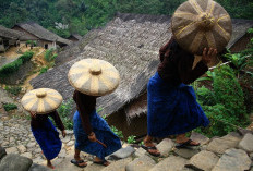 Mau ke Baduy? Kenali Dulu Perbedaan Baduy Dalam dan Baduy Luar Biar Tidak Salah Aturan