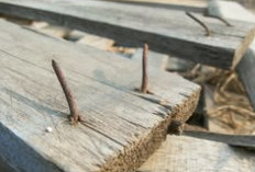 Tertusuk Paku? Berikut Langkah Pertolongan Pertama untuk Mencegah Tetanus