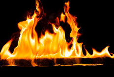 Nenek di Depok Bakar Cucu, Sempat Mengaku Korban Terkena Ledakan Kompor