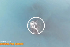 Fenomena Baru di Dekat Anak Krakatau, Daratan Seluas 30,3 Hektare Muncul