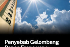 Gelombang Panas Eropa Berdampak pada Lebih dari 1.300 Warga, Ini Penyebabnya