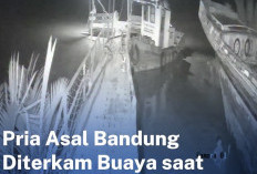 Pria Diduga Diserang Buaya Saat Perbaiki Jukung di Banyuasin, Pencarian Masih Berlangsung