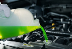 Mengapa Perawasi Rutin Sistem Pendingin Mesin Lebih Penting dari Ganti Oli?