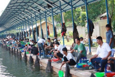 Rekomendasi Spot Mancing di Bandar Lampung dan sekitarnya yang Wajib Kamu Coba
