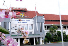Tio Ferdian Tak Lagi Jadi Tenaga Kontrak Pemkot Surabaya Usai Isu Viral