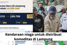 Kendaraan Niaga Makin Diminati, Distribusi Komoditas Lampung Ikut Disorot